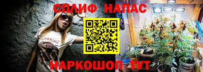 СК Гусь-Хрустальный